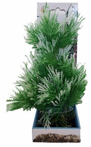 AKWA GREEN & WHITE TIPPED PLASTIC PLANT 27CM